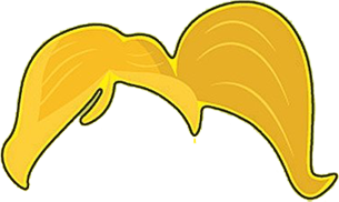 potato-head ponytail